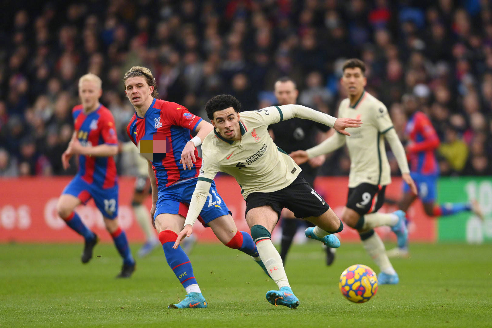 期待在赛场 期待在赛场